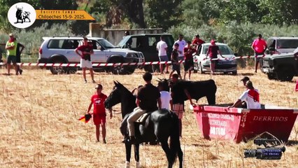 Chiloeches 15-09-2025 Encierro Campo