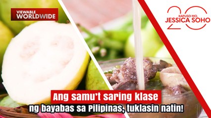 Ang samu’t saring klase ng bayabas sa Pilipinas, tuklasin natin! | Kapuso Mo, Jessica Soho