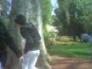 Biscotte Industrie, Popo, xaxa, itsuko et marie