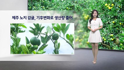 [이슈날씨] 9월 중순에도 늦더위...모레 전국으로 비 확대 / YTN