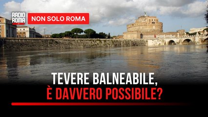 Il Tevere sarà balneabile in 5 anni l'annuncio del sindaco Gualtieri e le reazioni