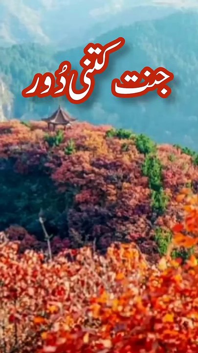 Hadees Pak 💞  Hadees Sharif 🌹✍️🥀  Hadith in Urdu  Hadees Mubarak Islamic #shorts #hadees #short