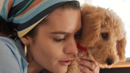 Pets Are Being Treated Like Children In Some Homes!