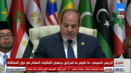 الرئيس السيسي: مصر تؤكد رفضها الكامل لاستهداف المدنيين وتجويع شعب بأكمله