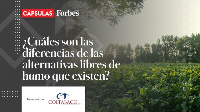 ¿Cuáles son las diferencias de las alternativas libres de humo que existen?