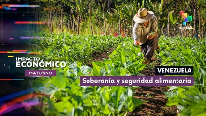 Venezuela | Soberanía y seguridad alimentaria