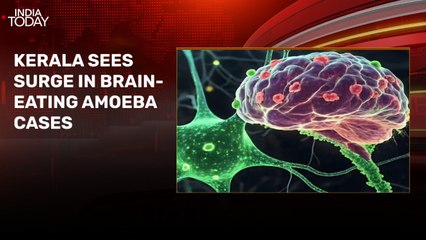 Brain-eating amoeba claims 18 lives in Kerala, Finance Ministry official killed by BMW in Delhi, more