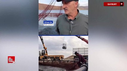 Bayburt’taki Demirözü Barajı’nda yetiştirilen Türk somonlarında hasat başladı