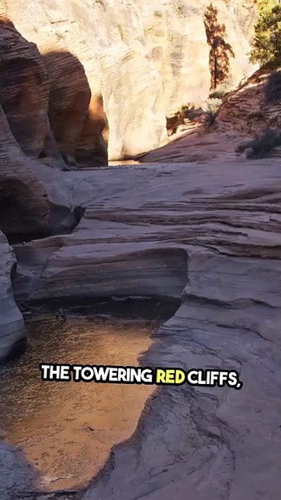 Zion National Park in Technicolor: A Spectrum of Adventure