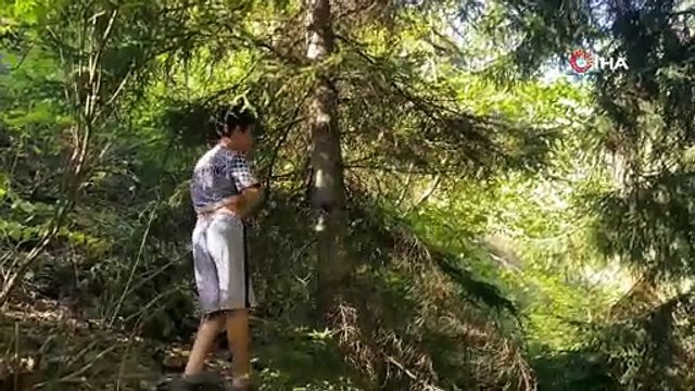 Ormandan toplayıp, kilosunu 5 bin liradan satıyor