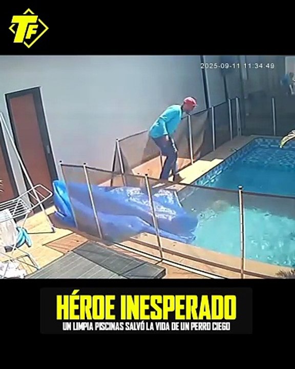 Rescate de perrito