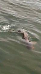 On pêche la carpe avec Gautier !