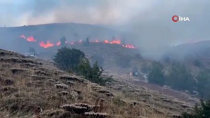 Erzincan’da örtü yangını ormana sirayet etmeden kontrol altına alındı