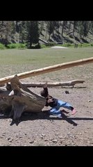 Girl Falls From Makeshift Seesaw and Hits Her Head on Tree Stump