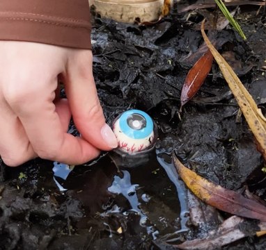 I Tested a Viral TikTok Hack! And It Works!