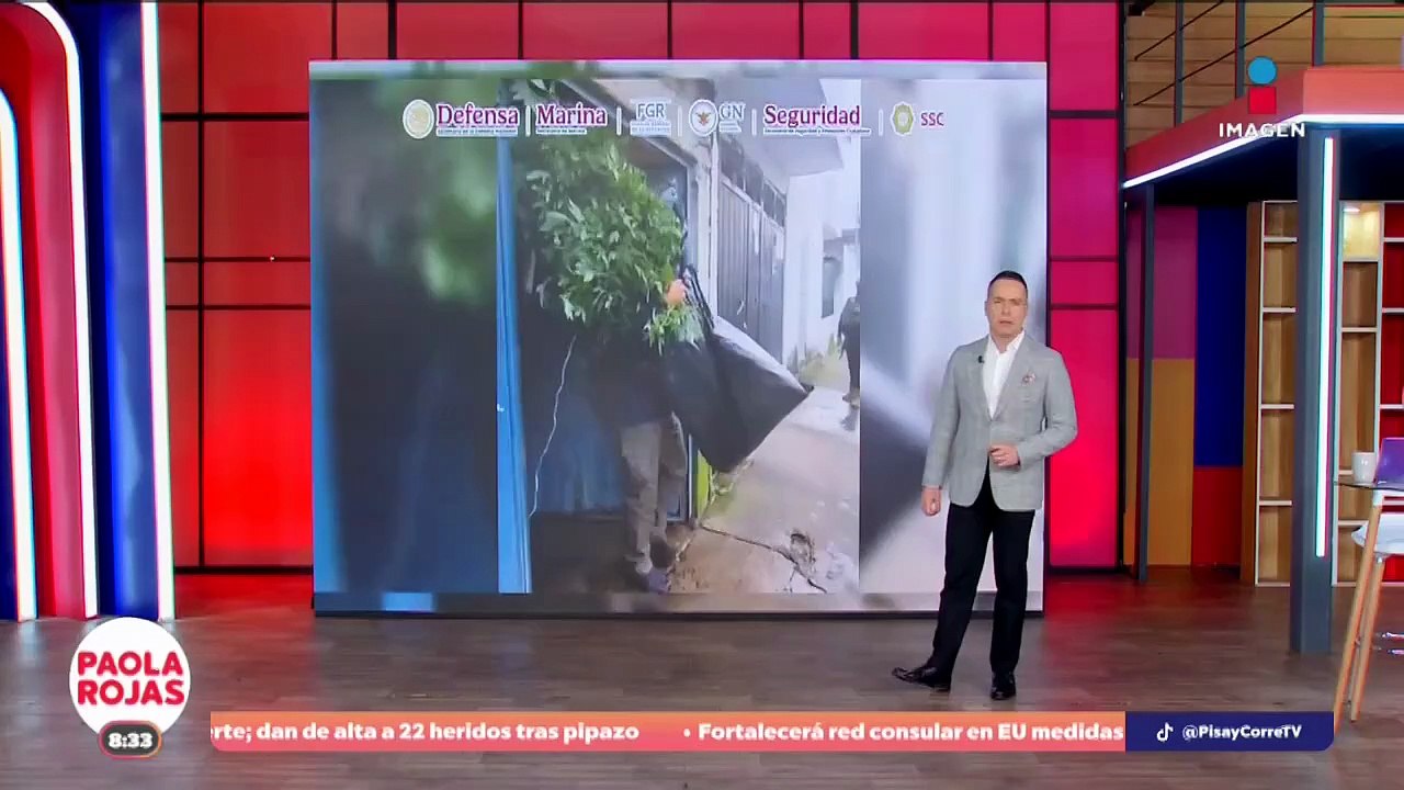 Animales silvestres sorprenden en zonas urbanas de Nuevo León | DPC con Paola Rojas