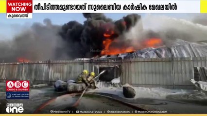 കുവൈത്തിലെ സുലൈബിയ കാർഷിക മേഖലയിൽ  ഫാമിലെ മൂന്ന് വെയർഹൗസുകളിൽ വൻ തീപിടുത്തം