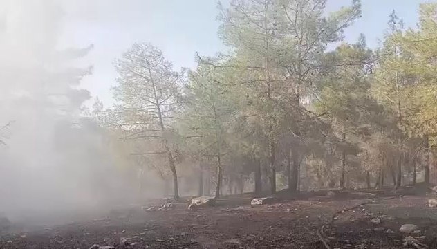 Şanlıurfa’nın Karaköprü ilçesine bağlı Güllübağ Mahallesi kırsalında çıkan orman yangını, ekiplerin zamanında müdahalesiyle büyümeden söndürüldü.