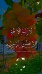 Al Quraan - The Beauty of Life | دلوں کا سکون قرآن میں ہے | Peace in Quranic Words #Quran #IslamicShorts #PeaceInIslam #QuranQuotes #SpiritualReminders