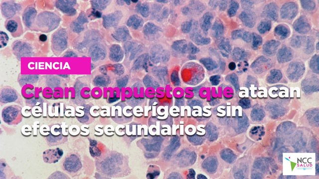 Crean compuestos que atacan células cancerígenas sin efectos secundarios