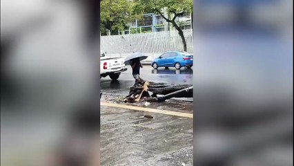 ext-caida-de-arbol-frente-a-hospital-de-niños-150925