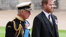 Prince Harry Finally Reunites With King Charles After A Year