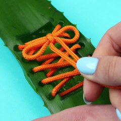 Fascinating Aloe Vera recipes you wish to try right now! 🥰