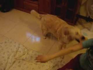 糖糖紀錄片_2008-04-20_01