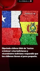 Diputada chilena tildó de ‘tontos crónicos’ a los bolivianos y viceministro boliviano respondió que los chilenos tienen el pene pequeño.