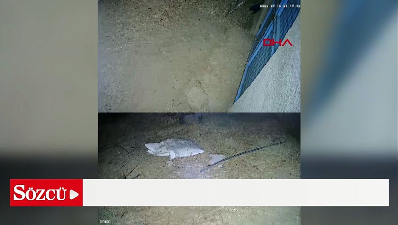 Patlama sesi halkı ayağa kaldırdı, valilikten açıklama geldi