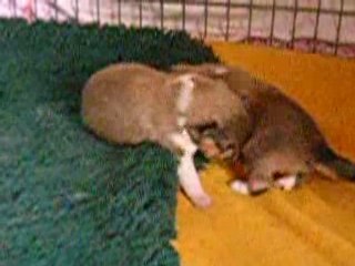 Bébés nés le 05 Mai 2008