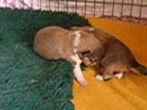 Bébés nés le 05 Mai 2008