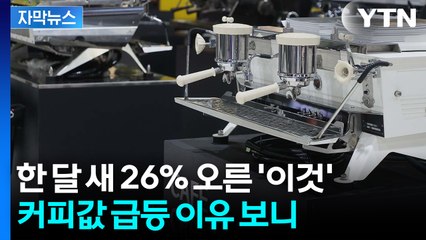 한 달 새 26% 상승한 '원두' 가격...커피 물가 어쩌나 [굿모닝경제] / YTN