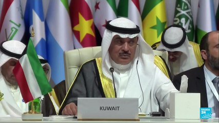 Países árabes e islámicos exigen sanciones contra Israel
