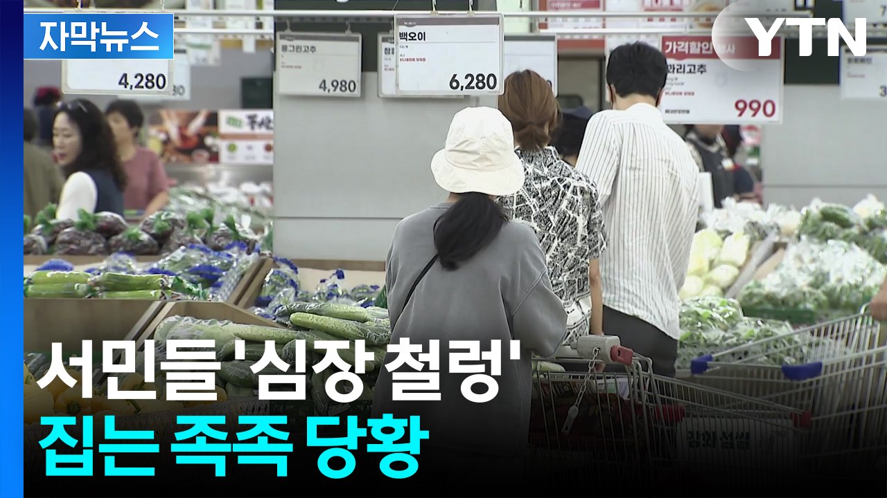 [자막뉴스] 추석 앞두고 망연자실...정부, 역대 최대 투입 예고 / YTN