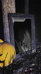 Please research safe and proper techniques, and discuss things with your partner PRIOR to 'spicing' up bedroom time.