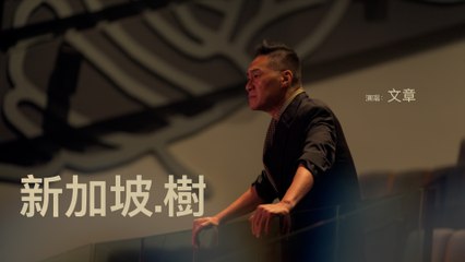 文章【新加坡樹 Singapore tree】Official Music Video