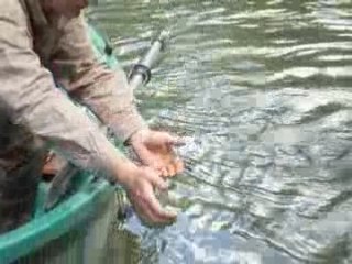 partie de pêche dans l'arnon a reuilly le 18/05/08