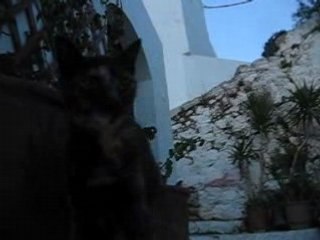 MVI_0086