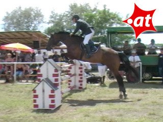 Karlheinz Winter, Springreiten, Burgenland (2007-063)