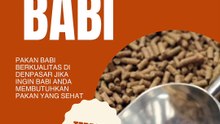 Jual Pakan Babi Denpasar utara, Telp.0817 4778 544, TERJAMIN…!!
