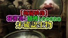 【極秘映像】秘密裏に捕獲したとされる未確認生物