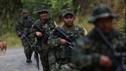 Trump descertifica a Colombia en la lucha antidrogas