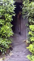 Magnifique écrin de verdure au coeur du Zoo