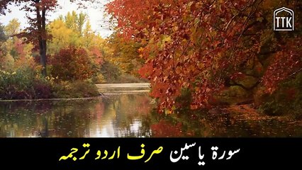 Surah Yaseen urdu translation _ Surah Yasin tarjuma from Quran Urdu Translation _ Surah 36