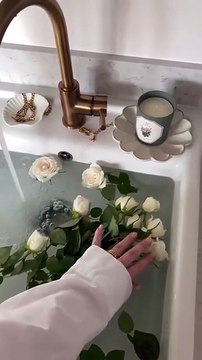 Aesthetic vibes Relaxing videos Aesthetic edits Visual aesthetics Minimalist videos Dreamy visuals Aesthetic compilation Calm ambiance Soft aesthetics Nature aesthetics Aesthetic transitions Cozy videos Retro aesthetics Aesthetic background