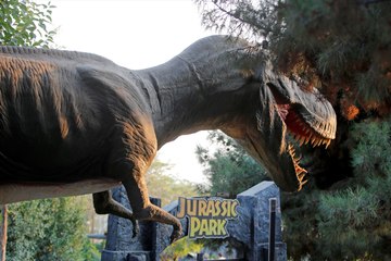 Jurassic Park filminde gibi: Hem devasa hem hareket ediyorlar