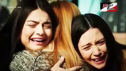 مسلسل ورد و شوك - الحلقة 95 - تركى مدبلج