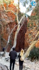 Abounding art, culture and nature: three must-do experiences in the red centre