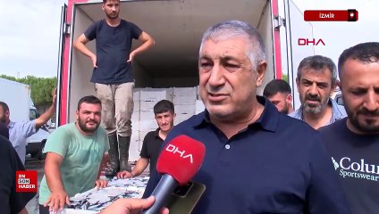 Ege'de balık bereketi: Lüfer bile ağlara takıldı